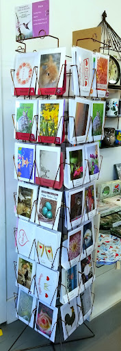 Bird Watcher's Supply & Gift