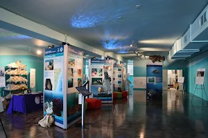 Gray’s Reef Ocean Discovery Center image