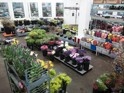 R J Carbone Wholesale Floral Distributors