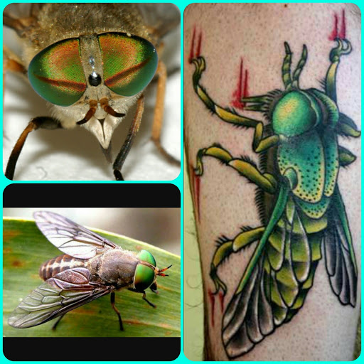 Explore spider man tattoo ideas, creative tattoo ideas in Egg Harbor Township, available at Mr. Blue Sky Tattoo