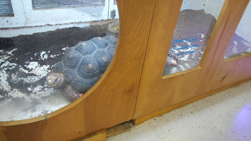 Pet Store «Forever Pets Inc», reviews and photos, 1030 Basse Rd, San Antonio, TX 78212, USA