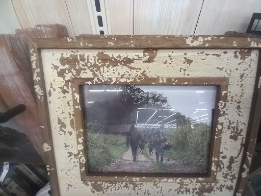 Craft Store «Michaels», reviews and photos, 320 Marketplace Blvd, Trenton, NJ 08691, USA