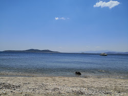 Foto von Delissos beach mit #43