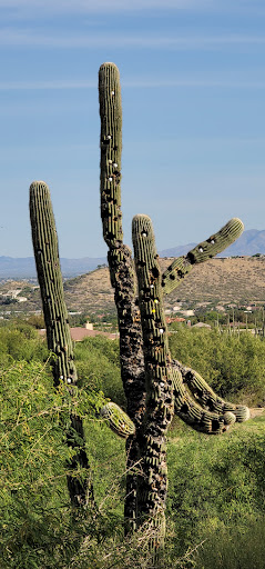 Country Club «Ventana Canyon Golf & Racquet Club», reviews and photos, 6200 N Club House Ln, Tucson, AZ 85750, USA