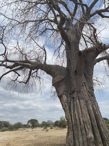 Travel Agency «Mike One Travel», reviews and photos, Pipher Rd, Bushkill, PA 18324, USA