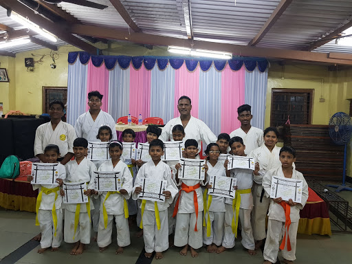 United Martial Art Academy India