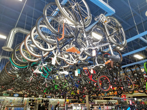 Bicycle Store «Bicycle Centres of Everett», reviews and photos, 4707 Evergreen Way, Everett, WA 98203, USA