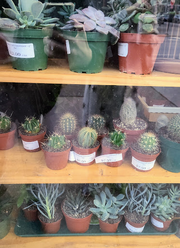 Florist «Thats Amore Florist Ltd», reviews and photos, 3454 N Southport Ave, Chicago, IL 60657, USA