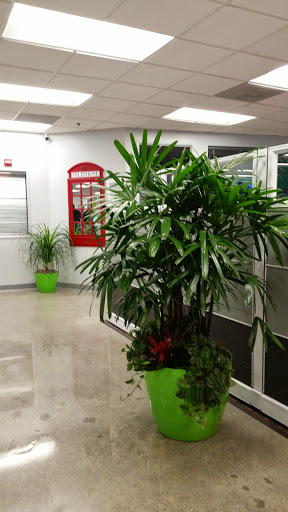 Plantopia - Interior Plant Service - San Diego