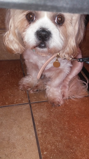 Pet Supply Store «PetSmart», reviews and photos, 4045 Dowlen Rd, Beaumont, TX 77706, USA