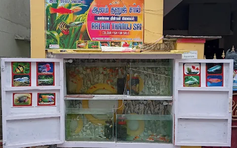 Aalam Thanuj Sai Fish Aquarium image