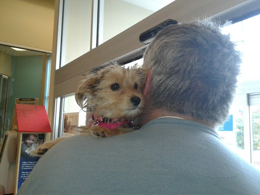 Pet Supply Store «Petco Animal Supplies», reviews and photos, 2807 Wilma Rudolph Blvd, Clarksville, TN 37040, USA