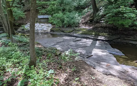 Overbrook Ravine Park image