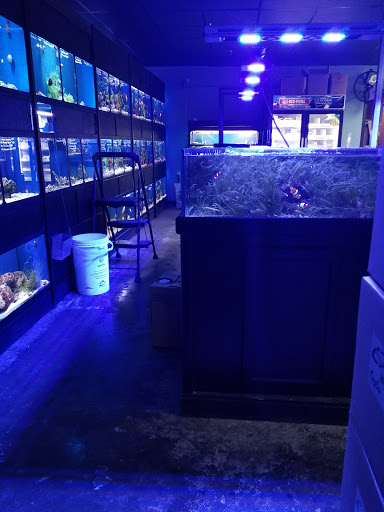 Tropical Fish Store «Aquatic Obsessions», reviews and photos, 1150 St George Ave, Avenel, NJ 07001, USA