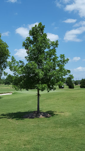 Golf «Pecan Hollow Golf Course», reviews and photos, 4901 14th St, Plano, TX 75074, USA