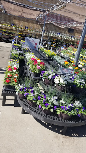 Department Store «Walmart Supercenter», reviews and photos, 1351 Veterans Pkwy, Clarksville, IN 47129, USA