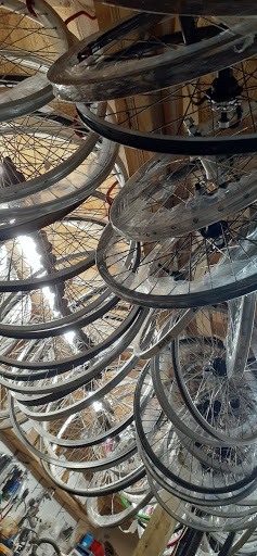 Bicycle Store «College Cycles Bicycle Shop», reviews and photos, 361 Oakland Ave, Rock Hill, SC 29730, USA