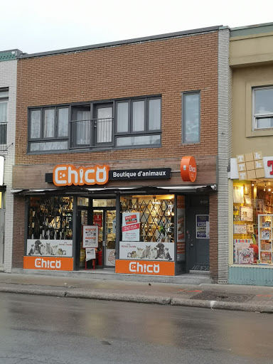 Boutique d'animaux Chico Rue Masson