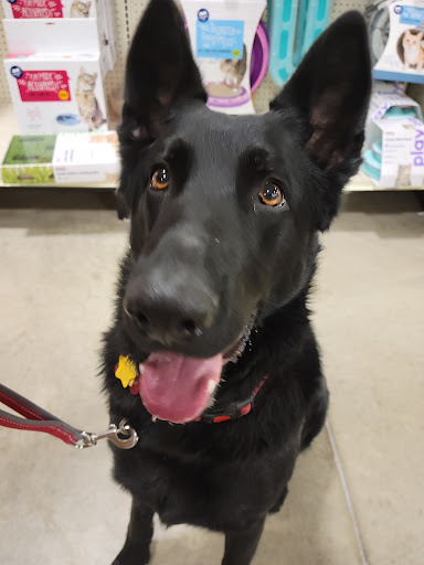 Pet Supply Store «PetSmart», reviews and photos, 1116 S Rochester Rd, Rochester Hills, MI 48307, USA