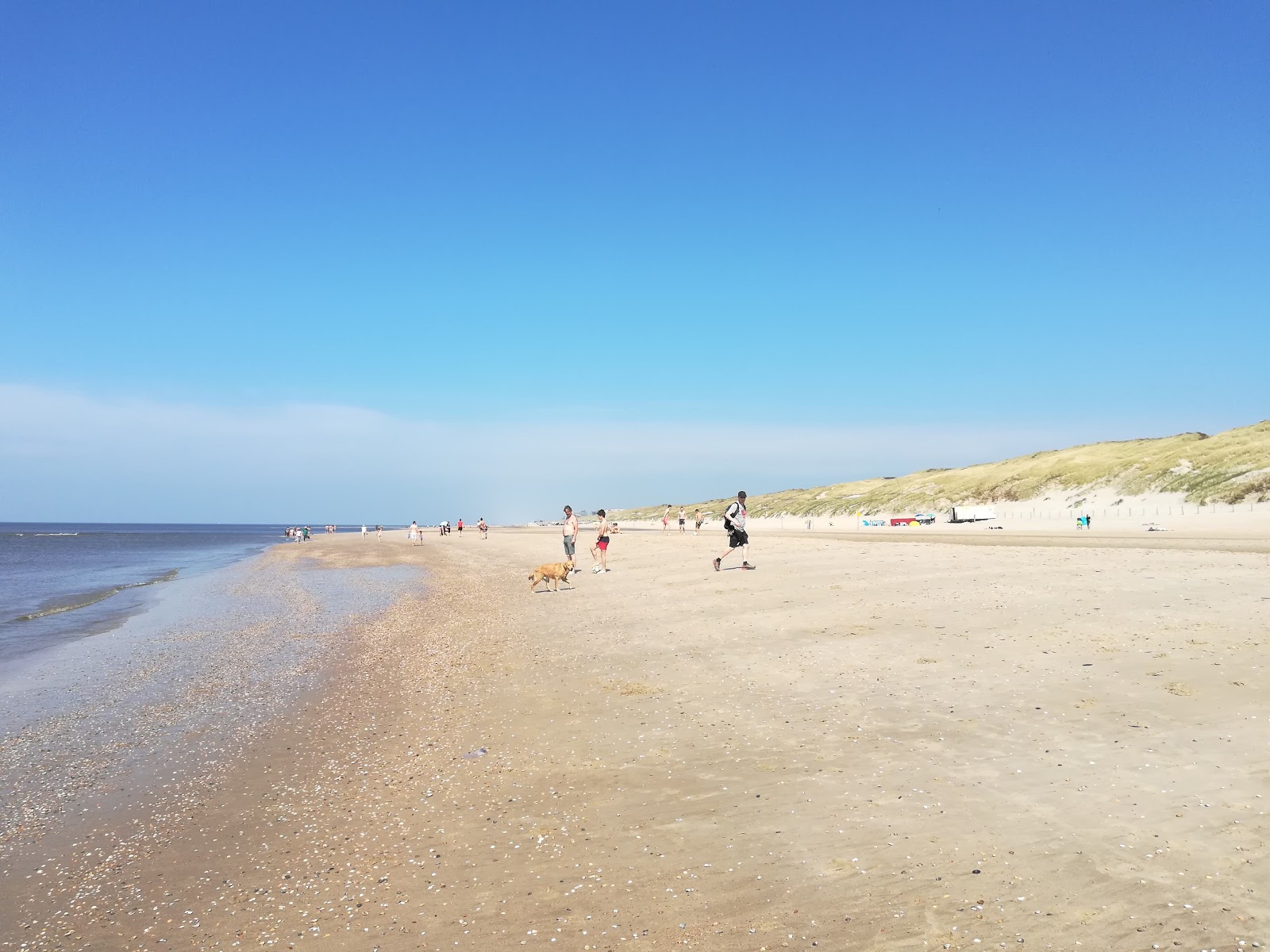 Fotografija Strand Egmond-binnen z svetel pesek površino