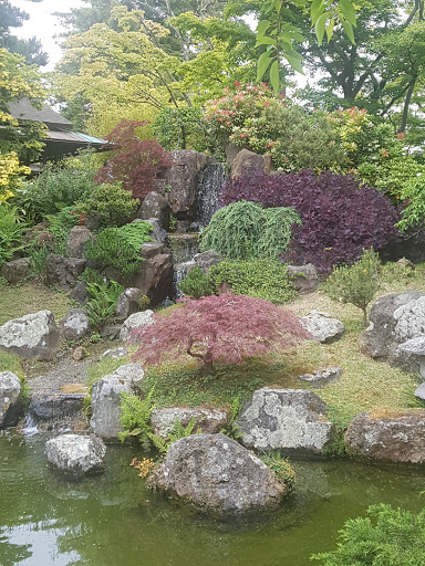 Disc Golf Course «Golden Gate Park Disc Golf Course», reviews and photos, 99 Marx Meadow Dr, San Francisco, CA 94121, USA