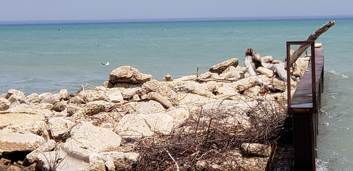 Nature Preserve «Fort Sheridan Forest Preserve», reviews and photos, 117 Sheridan Rd, Lake Forest, IL 60045, USA