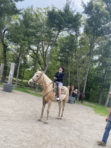 Tourist Attraction «C and L Stables», reviews and photos, 1095 Ives Rd, East Greenwich, RI 02818, USA