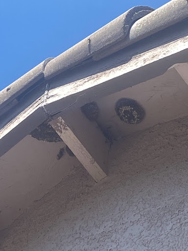 Next Level Pest Control image