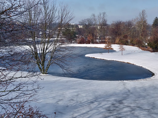 Insurance Company «Prudential Roseland», reviews and photos