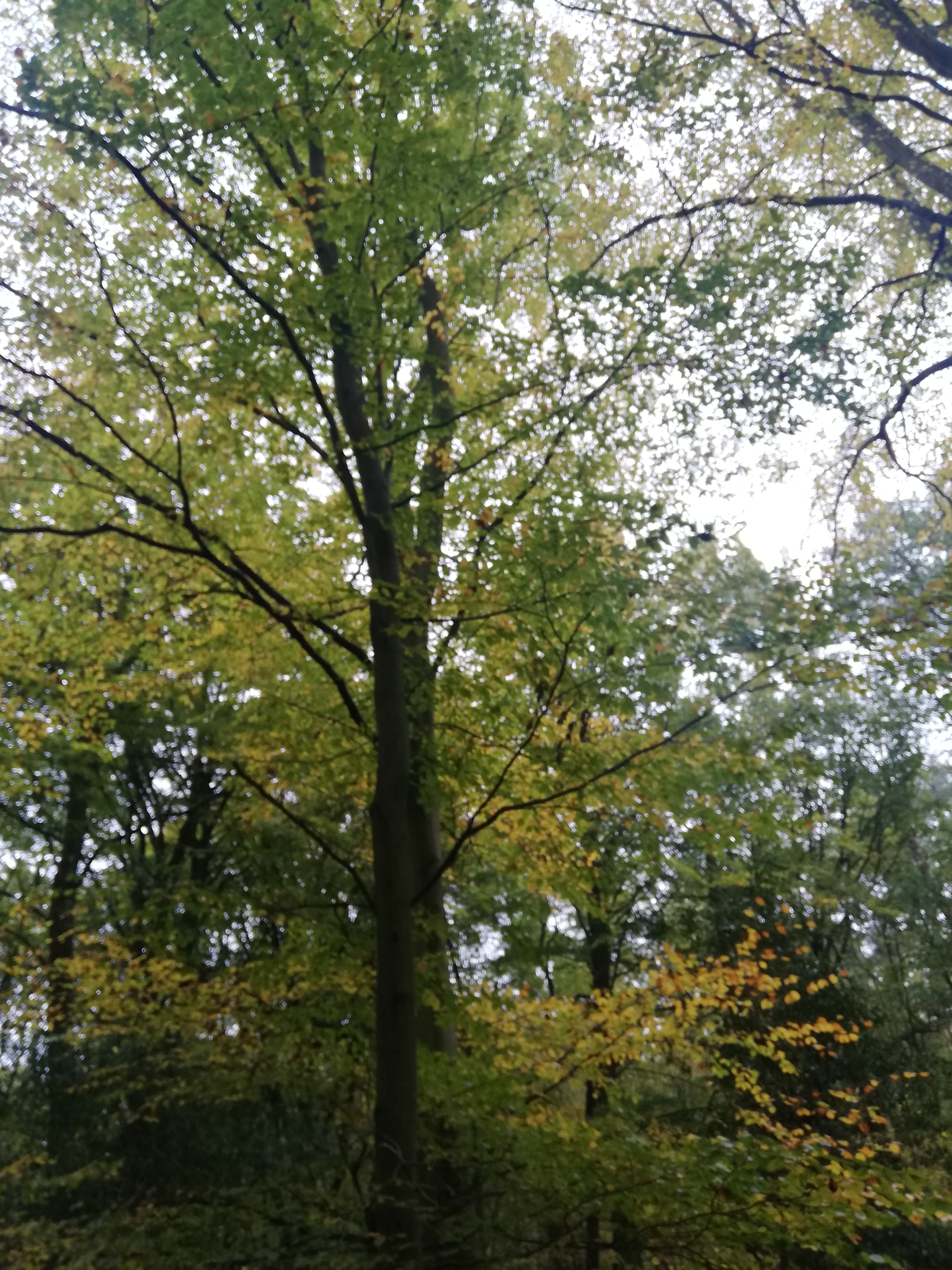 Photo n° 8 de l'avis de Marie.a fait le 09/03/2023 à 17:15