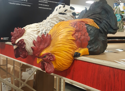 Home Improvement Store «Tractor Supply Co.», reviews and photos, 5940 New Jesup Hwy, Brunswick, GA 31523, USA