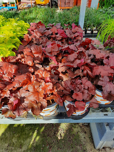 Home Improvement Store «The Home Depot», reviews and photos, 401 Linda Vista Dr, Hendersonville, NC 28792, USA