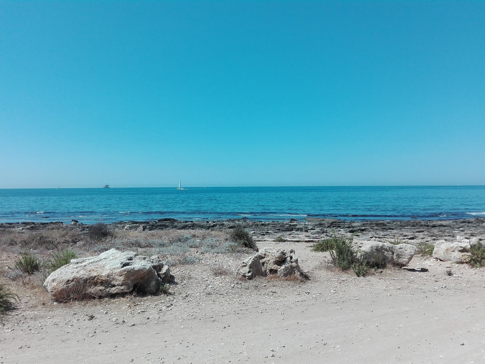 Foto de Spiaggia Valdaliga zona salvaje