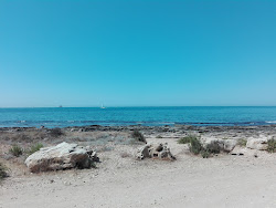 Photo de Spiaggia Valdaliga zone sauvage