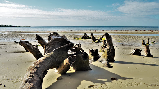 Nature Preserve «San Carlos Bay - Bunche Beach Preserve», reviews and photos, 18201 John Morris Rd, Fort Myers, FL 33908, USA