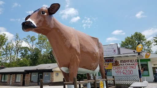 Ice Cream Shop «Chunky Monkey Ice Cream Shop», reviews and photos, 139 Little Senator Cir, Clinton, TN 37716, USA