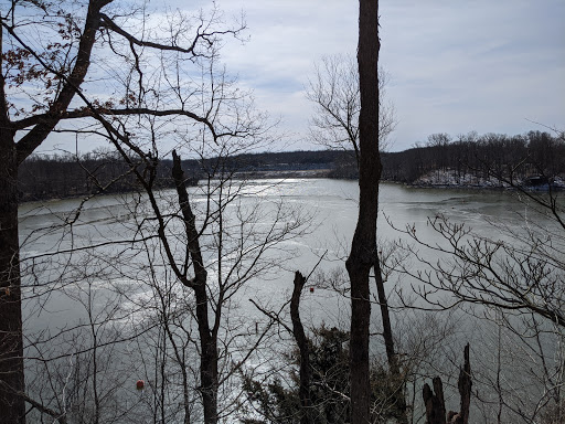 Tourist Attraction «Caesar Creek Visitor Center», reviews and photos, 4020 N Clarksville Rd, Waynesville, OH 45068, USA