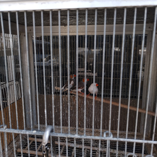 Animal Feed Store «Whittier Feed Store», reviews and photos, 12618 Penn St, Whittier, CA 90602, USA