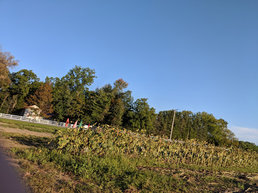Produce Market «Rush Vegetables», reviews and photos, 2120 Eagle Harbor Waterport Rd, Albion, NY 14411, USA