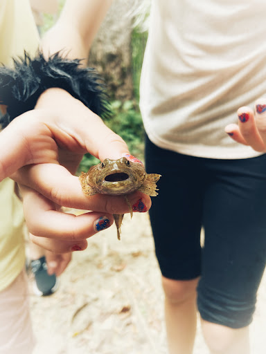 Nature Preserve «Sweet Arrow Reserve», reviews and photos, 789 Little Sugarcreek Rd, Sugarcreek Township, OH 45440, USA