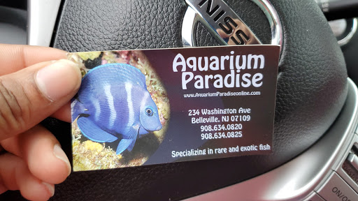 Pet Store «Aquarium Paradise», reviews and photos, 234 Washington Ave, Belleville, NJ 07109, USA