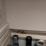 Photo n°5 de l'avis de Alia. fait le 23/08/2021 à 16:07 sur le  Kongresshotel Europe à Stuttgart