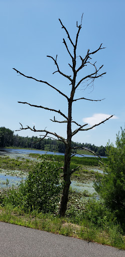 Tourist Attraction «Windham Rail Trail Parking», reviews and photos, 7 Depot Rd, Windham, NH 03087, USA