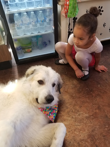 Pet Palace Nutrition & Boutique, 3233 SE Maricamp Rd #101, Ocala, FL 34471, USA, 