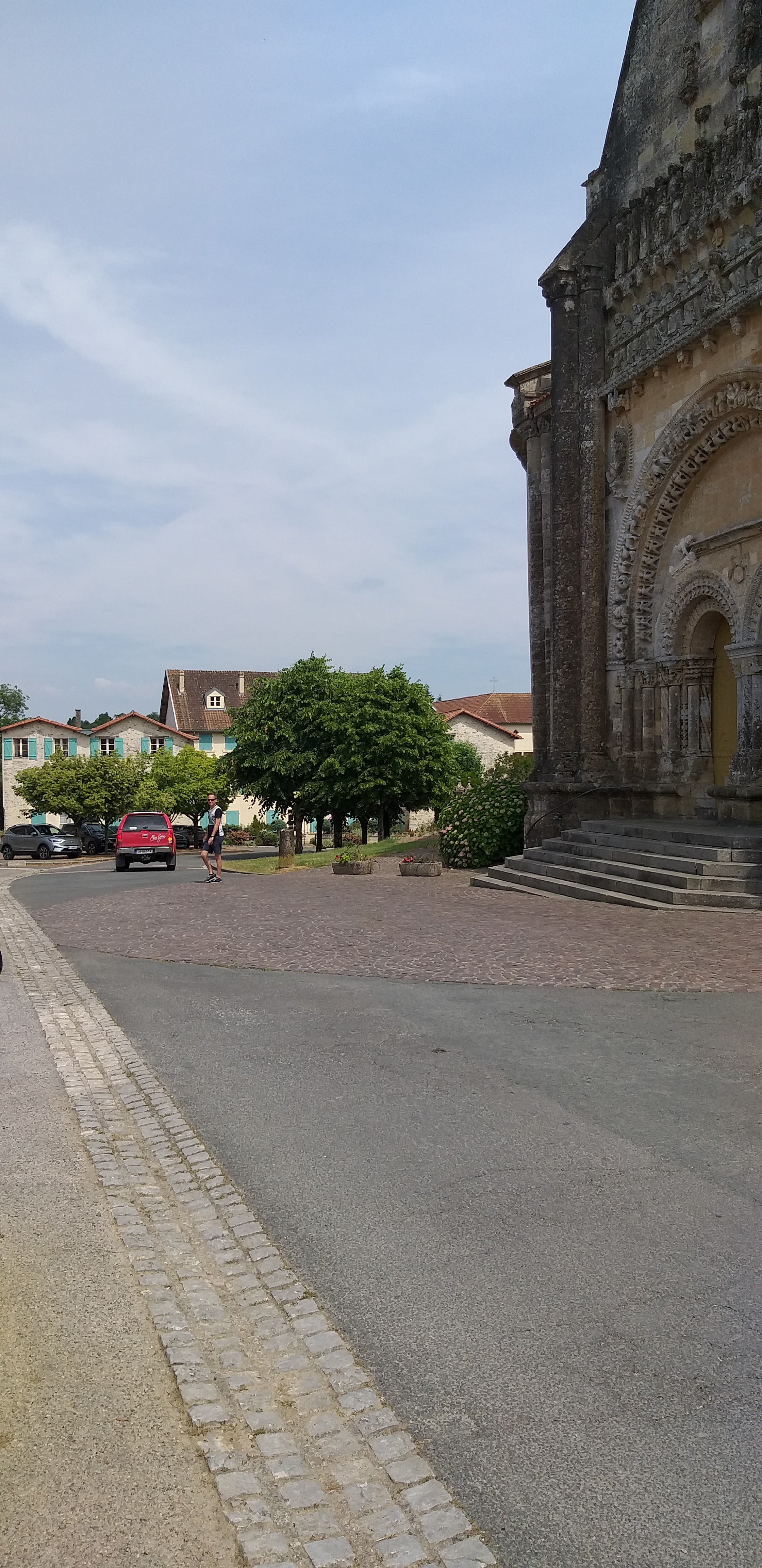Photo n° 2 de l'avis de Visnaga. fait le 13/06/2023 à 18:26