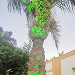 Photo n°7 de l'avis de Antonio.a fait le 01/09/2020 à 10:43 sur le  Villa del Gattopardo Suites & Spa à Palermo