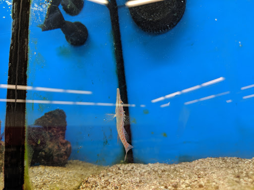 Pet Supply Store «Petco Animal Supplies», reviews and photos, 1901 Madison Ave #610, Mankato, MN 56001, USA