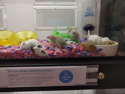 Pet Supply Store «Petco Animal Supplies», reviews and photos, 304 Western Ave, Brighton, MA 02135, USA