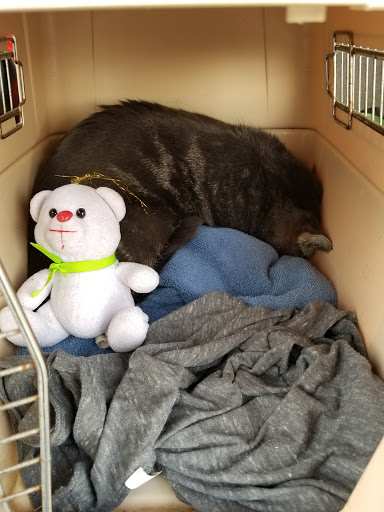 Pet Supply Store «PetSmart», reviews and photos, 2603 95th St, Evergreen Park, IL 60805, USA