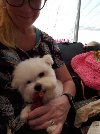 Pet Supply Store «PetSmart», reviews and photos, 745 W Huntington Dr, Monrovia, CA 91016, USA